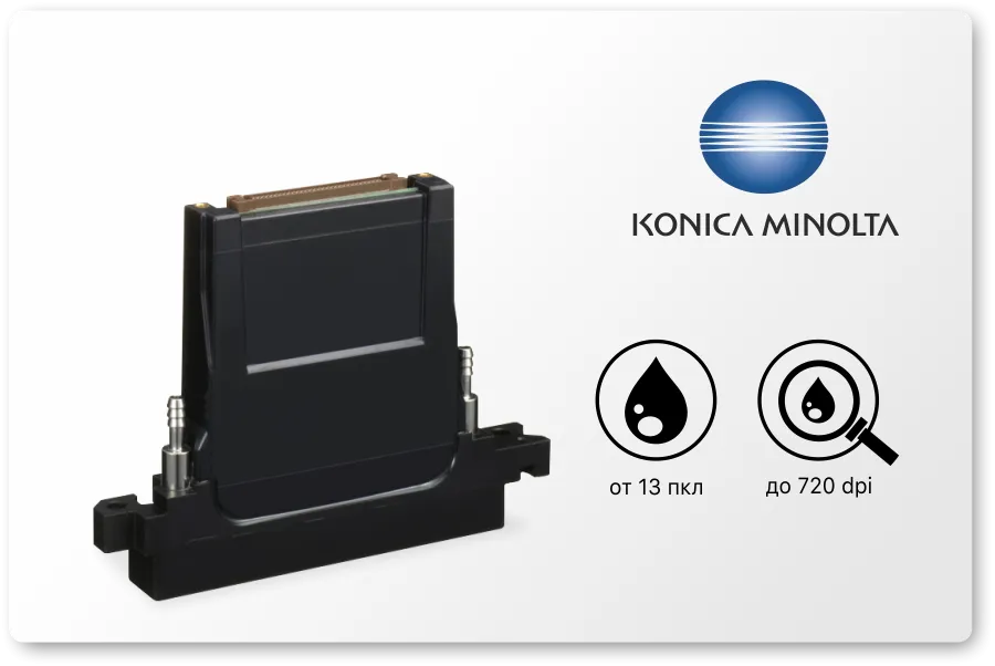 Kotika.png